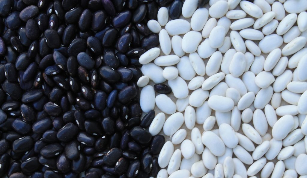 Black and white beans in a contrasting pattern